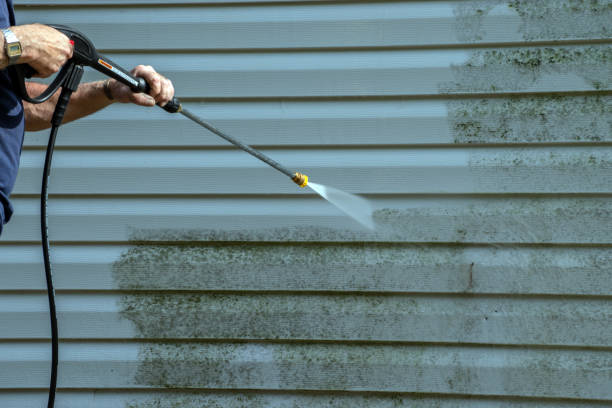 Deck Cleaning Services in Aiea, HI