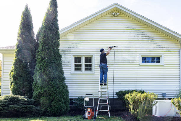 Best Concrete Pressure Washing  in Aiea, HI