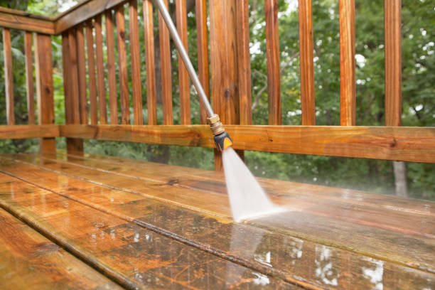 Best Garage Pressure Washing  in Aiea, HI