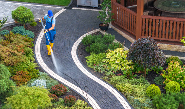 Best Residential Pressure Washing Services  in Aiea, HI