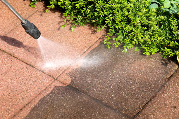 Best Exterior Home Cleaning  in Aiea, HI